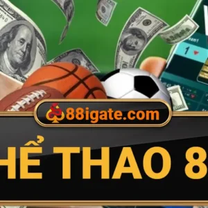 Đá gà 88i - Sân chơi của những chiến kê hàng đầu - 88i GATE - SPIN941.WORK